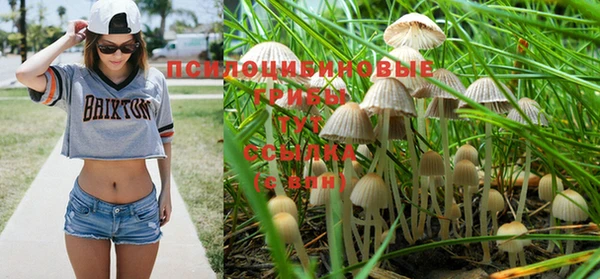 apvp Рославль