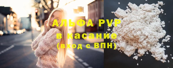 apvp Рославль