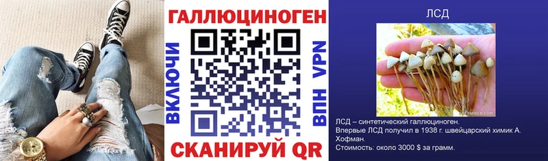 Галлюциногенные грибы Magic Shrooms  где можно купить наркотик  МЕГА ссылки  Северобайкальск 