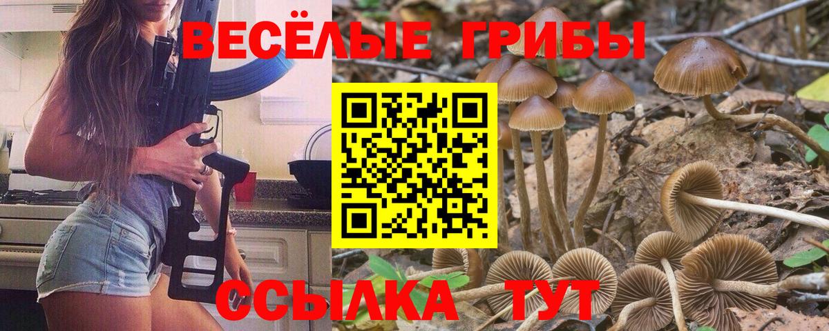 где продают   Вход с VPN  Северобайкальск  Галлюциногенные грибы мухоморы  Псилоцибиновые грибы мицелий 