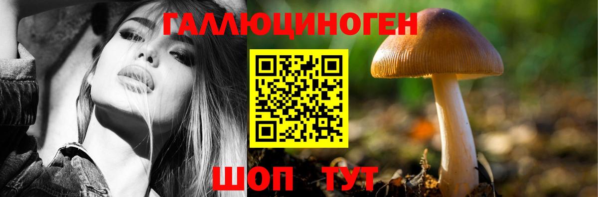 Псилоцибиновые грибы ЛСД Северобайкальск